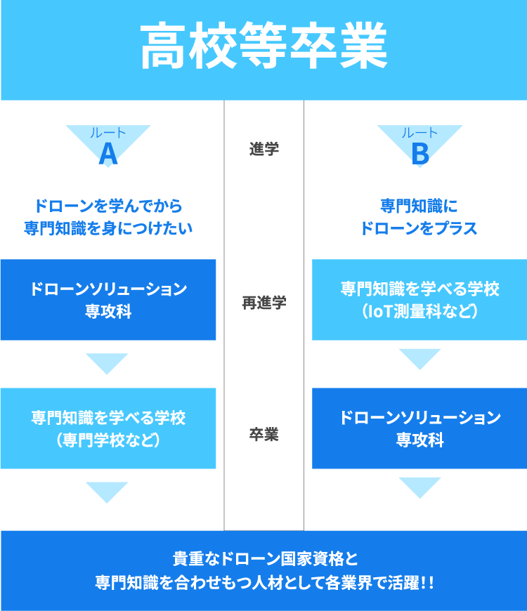 主な進学ルート